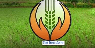 खरीपातील 14 पिकांसाठी प्रधानमंत्री पीक विमा
