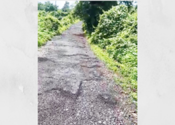 ‌सोनारवाडी रस्त्यावरील खड्डे बुजविण्याची मागणी