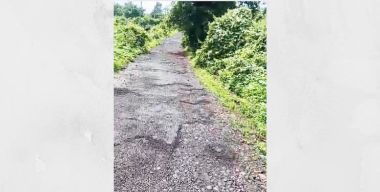 सोनारवाडी रस्त्यावरील खड्डे बुजविण्याची मागणी