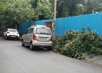 तोडलेल्या झाडांच्या फांद्या फुटपाथवरच