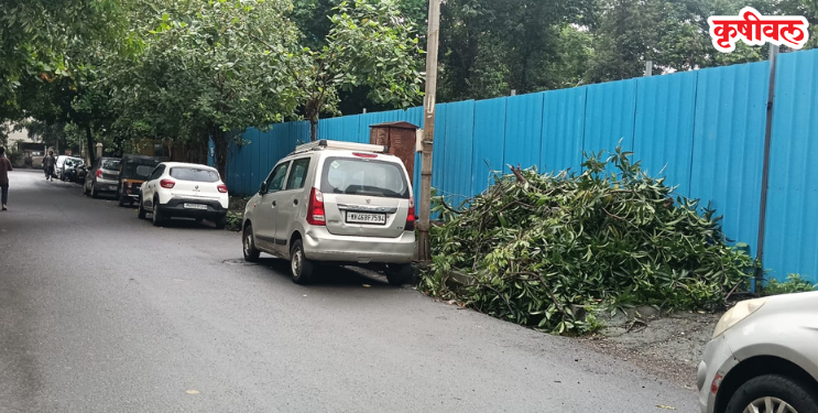 तोडलेल्या झाडांच्या फांद्या फुटपाथवरच