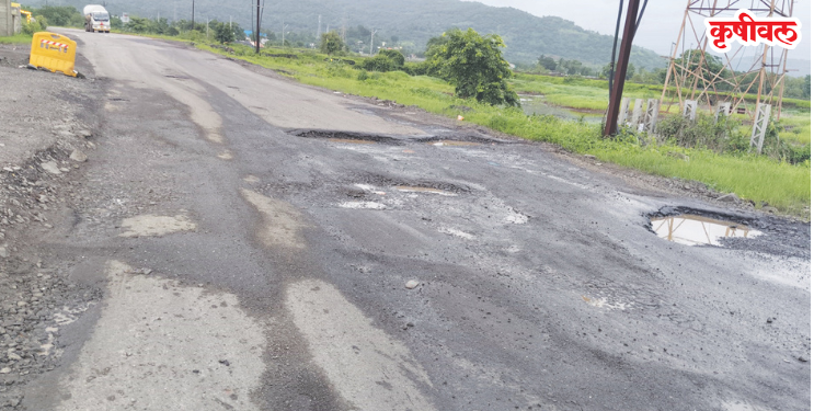 हाळ फाटा-पळसदरीमार्गावर खड्ड्यांचे साम्राज्य