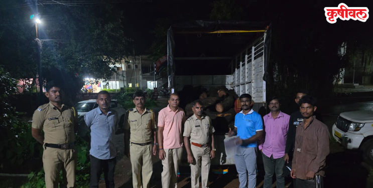Khair Smuggling: खैरतस्करांना ठोकल्या बेड्या