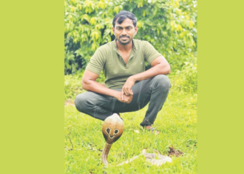 जाळ्यात अडकलेल्या नागाला जीवदान