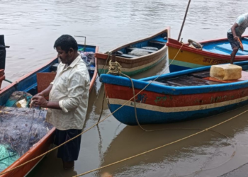कोळी बांधवांची पुन्हा समुद्राकडे वाटचाल