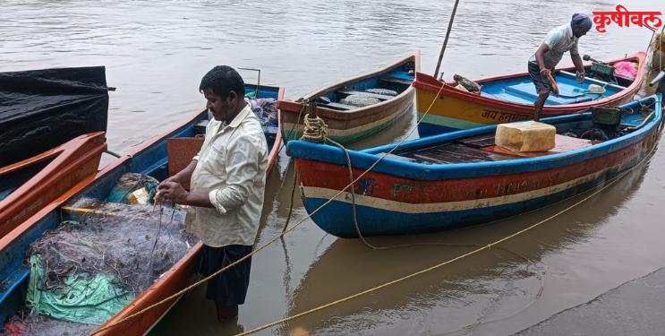 कोळी बांधवांची पुन्हा समुद्राकडे वाटचाल