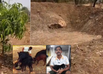 पारंपरिक शेतीला आधुनिकतेची जोड