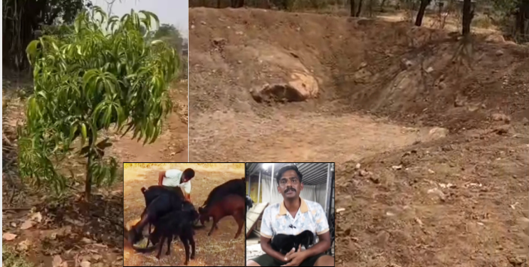पारंपरिक शेतीला आधुनिकतेची जोड
