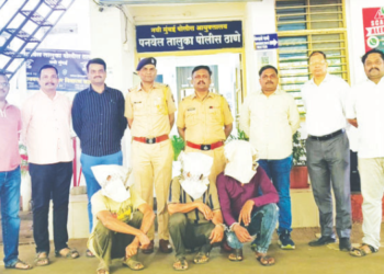चोरट्यांकडून बारा लाखांचा मुद्देमाल जप्त
