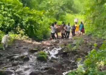 पुन्हा एकदा बाळंतपणासाठी झोळीचा आधार