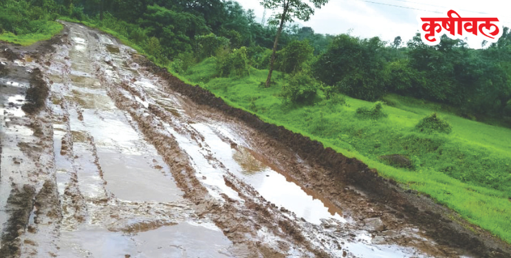 हालीवलीत रस्त्याने घेतला बळी