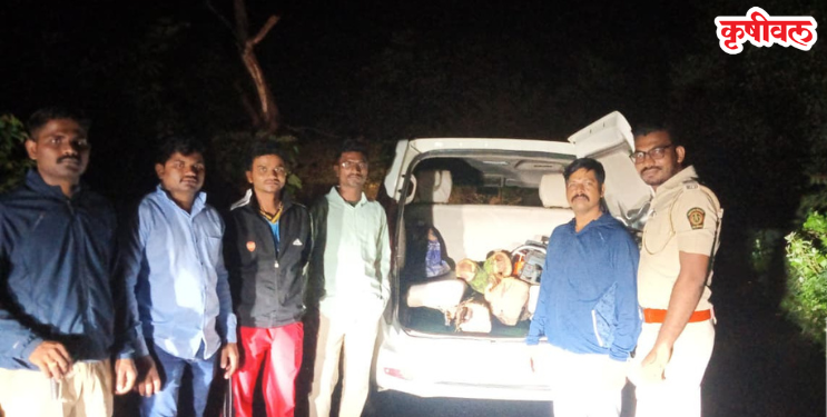 पहाटेच्या अंधारात खैराची कत्तल