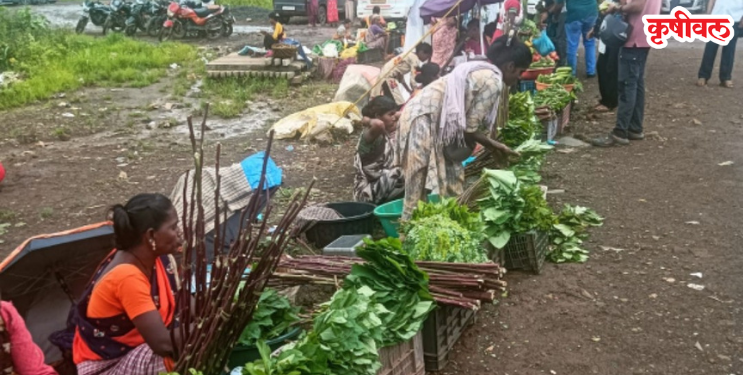 मोहोपाडा बाजारात निसर्गाची मेजवानी