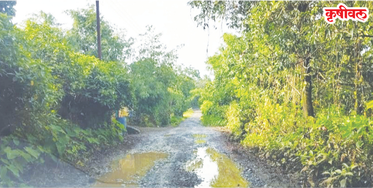 रस्त्यासाठी महागावकरांकडून आंदोलनाचा इशारा