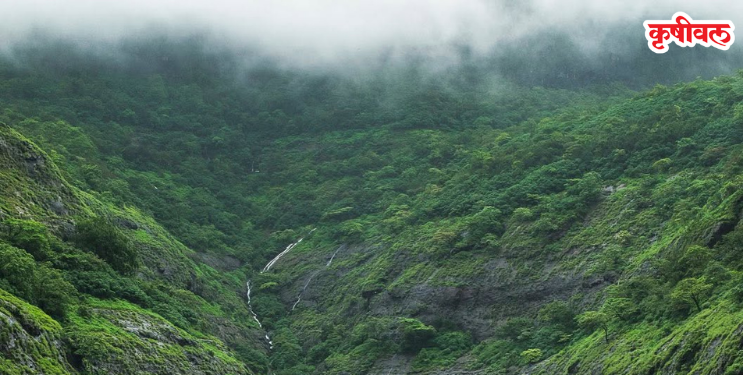 ताम्हिणी घाटमार्ग ठरतोय ‌‘गुन्हेगारीचा हॉटस्पॉट‌’