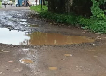 हालिवली ग्रामस्थ त्रस्त