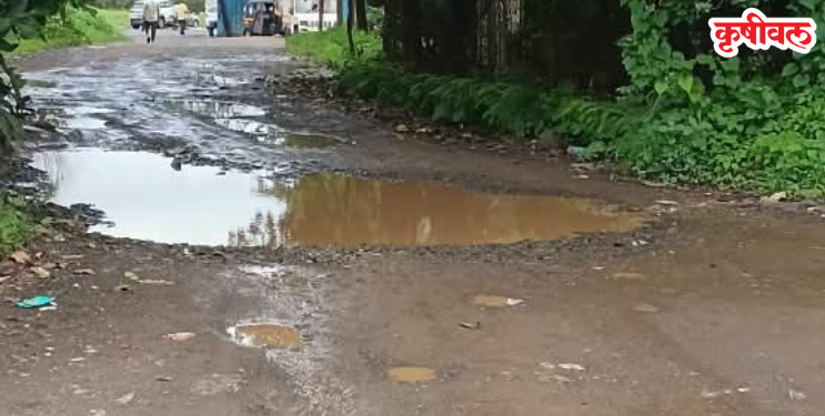 हालिवली ग्रामस्थ त्रस्त