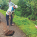रोहा-बारशेत मार्गावर जीवघेणा प्रवास