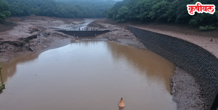 Charlotte Lake: ऐन पावसाळ्यात माथेरानचा पाणीप्रश्न पेटला