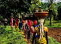 Agriculture Tourism: शेतीला पर्यटनाची जोड