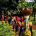 Agriculture Tourism: शेतीला पर्यटनाची जोड