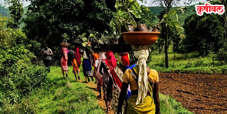 Agriculture Tourism: शेतीला पर्यटनाची जोड