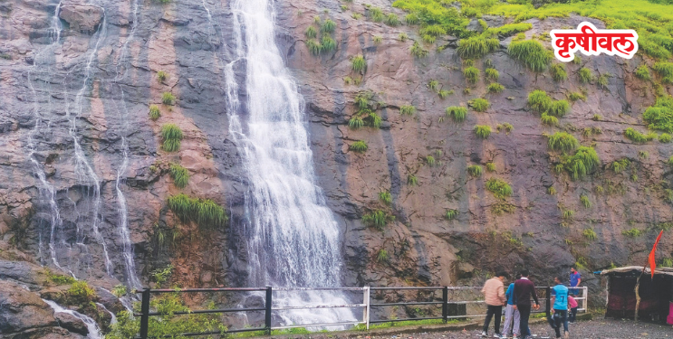ताम्हिणी घाट पर्यटकांना खुणावतोय