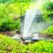 हजारो लीटर पाण्याचा अपव्यय