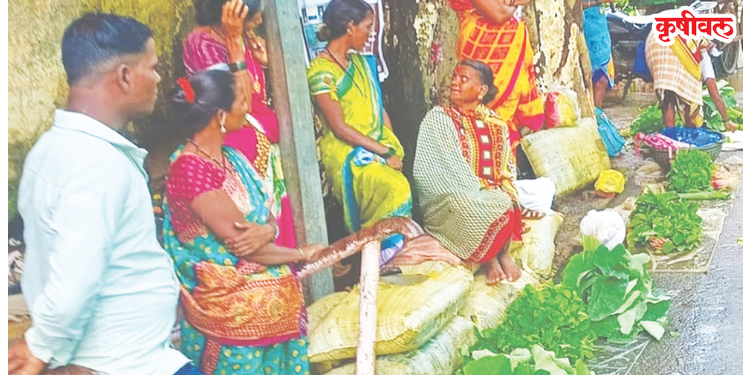 श्रावणात रानभाज्यांची लज्जतदार मेजवानी