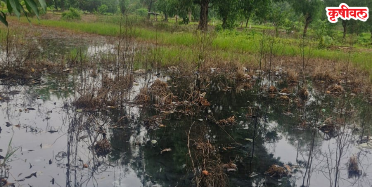 नदी प्रदूषणाविरोधात पत्रकार आक्रमक