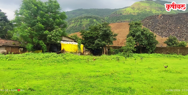 टाटा धरणाचे दगड ग्रामस्थांच्या घरांवर