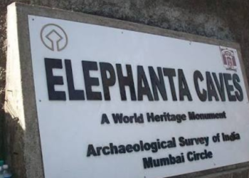 एलिफंटावरील व्यावसायिकांची न्यायालयात धाव