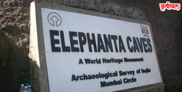 एलिफंटावरील व्यावसायिकांची न्यायालयात धाव