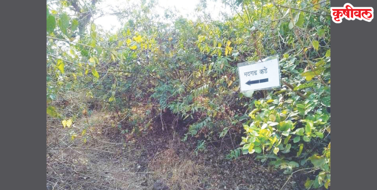 ऐतिहासिक ‘मदगड’ किल्ल्यात प्राचीन ठेवा