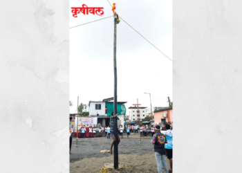 कोळीवाड्यात मल्लखांब दहीहंडीचा उत्सव