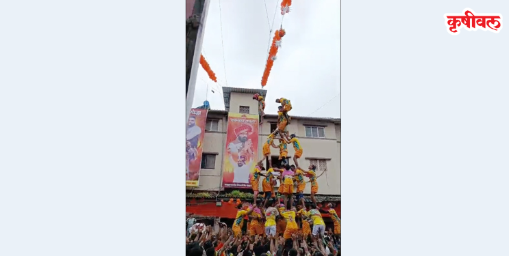 पालकमंत्री दहीहंडी उत्सवात गोविंदा जखमी