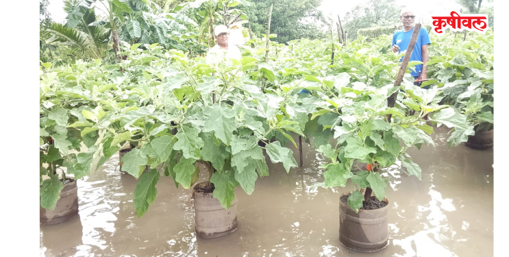 कार्लेतील शेतकऱ्याचा अनोखा प्रयोग
