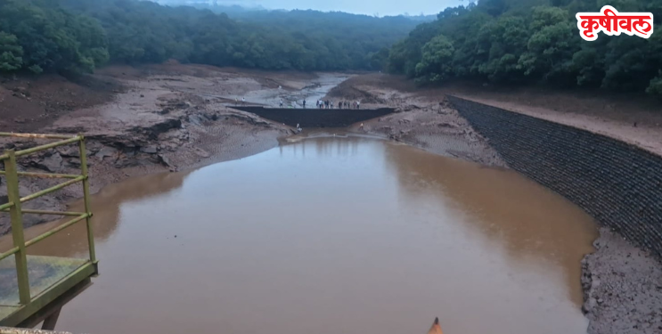 शार्लोट लेकमधील एक हजार ट्रक गाळ गेला कुठे?