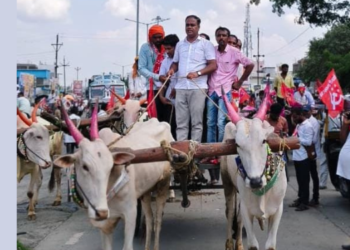दुष्काळ जाहीर करा, हेक्टरी 50 हजार द्या!