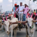दुष्काळ जाहीर करा, हेक्टरी 50 हजार द्या!