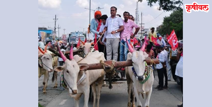 दुष्काळ जाहीर करा, हेक्टरी 50 हजार द्या!