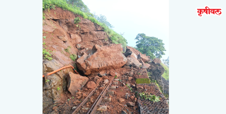 मिनीट्रेनच्या मार्गात दरड कोसळली