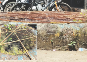 श्रीवर्धनमध्ये सार्वजनिक विहिरींकडे दुर्लक्ष