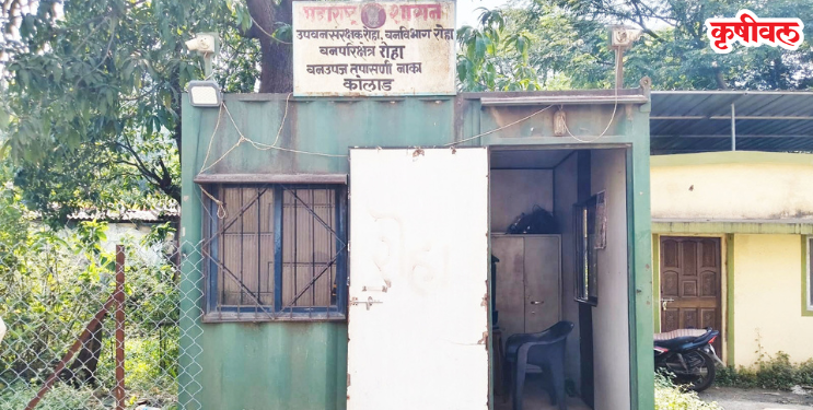 वन विभागाची तपासणी चौकी समस्येच्या गर्तेत