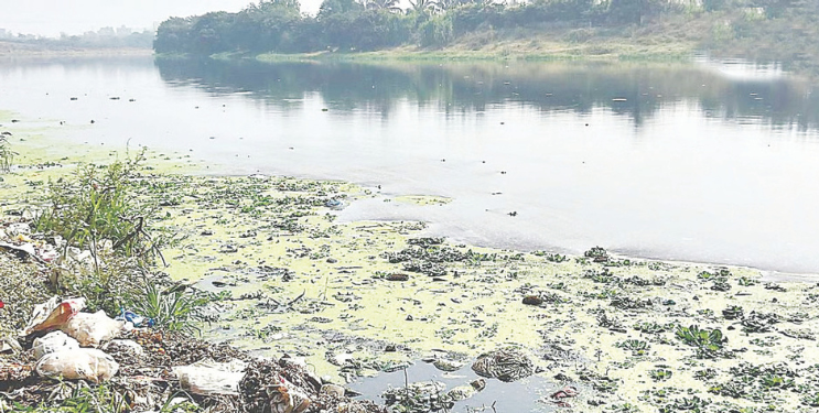 कोकणातील नद्यांचे होणार पुनरुज्जीवन
