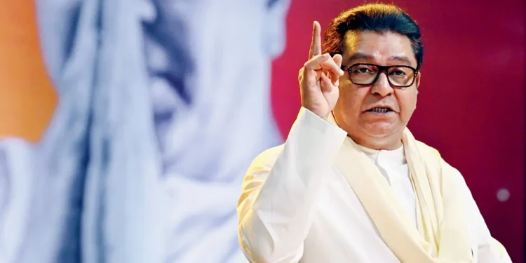 काही महिन्यांत गडबड होणार: राज ठाकरे