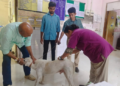 अलिबागमध्ये अँटी-रेबीज लसीकरण