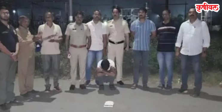 अवैध खैर वाहतुकीवर कारवाई
