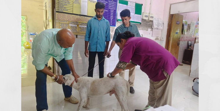 अलिबागमध्ये अँटी-रेबीज लसीकरण