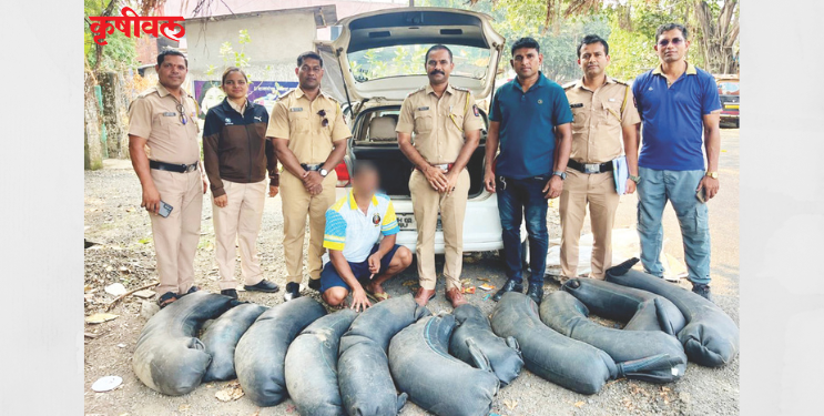 चारशे लिटर गावठी दारू जप्त